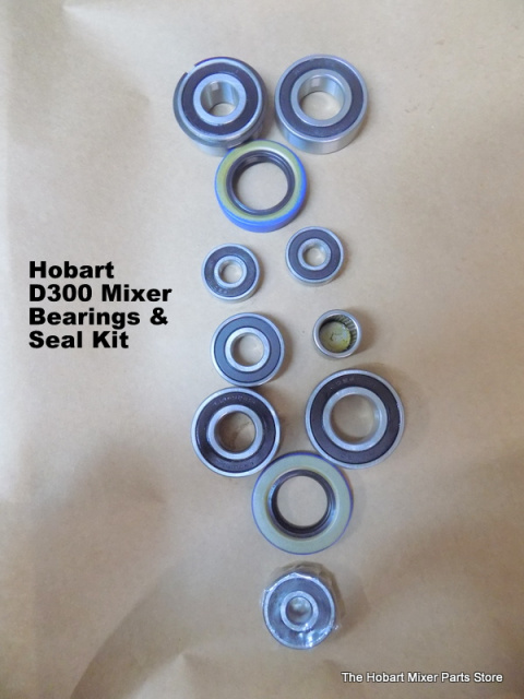 gear box & planetary 10 Brg 2 seal Hobart 30qt D300 Full Bearing seal kit motor 